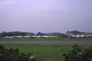 手の届く距離で触れ合える移動動物園