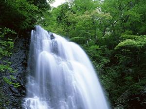 金沢の創業90年の老舗の着物レンタル店