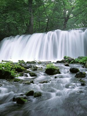 茨城県水戸市にある東横イン水戸駅南口：快適なビジネスと観光の拠点