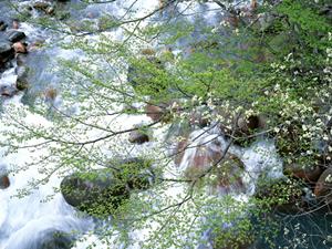 わくわくできる文化体験を気軽に