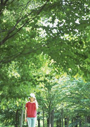 ANA株主優待を活用したお得な国内旅行のススメと賢い航空券購入法