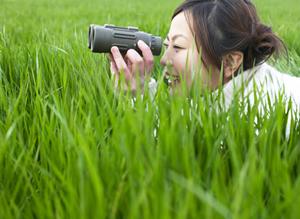 絶景を楽しむ伊豆高原の赤沢日帰り温泉館：太平洋を一望できる癒しスポット