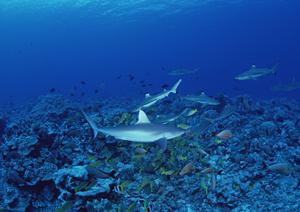 千葉駅から徒歩5分の便利なロケーション！東横INN千葉駅前の魅力と特徴を徹底解説