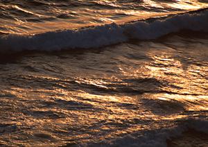 青の洞窟周辺でダイビング可能なプラン