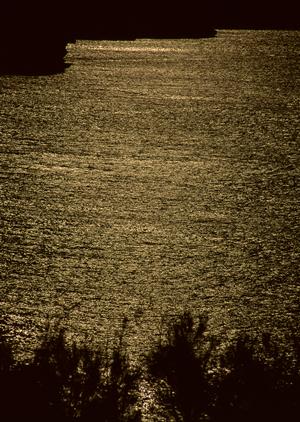 世界的なブランドのjdmで釣りをしよう