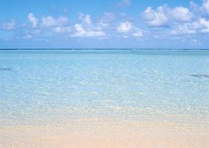 大阪・堺市で快適なビジネス旅行をサポート！東横INN堺東駅の魅力と宿泊ポイント