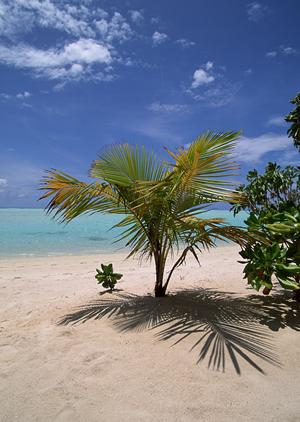 長野県松本市に位置するビジネスホテルの魅力と「東横INN松本駅東口」の詳細情報