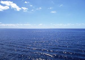 赤沢温泉ホテル｜伊豆高原の絶景温泉と四季折々の料理を楽しむリゾートステイ