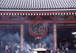 多彩な島を一つの旅で巡る魅力・伊豆大島ツアー