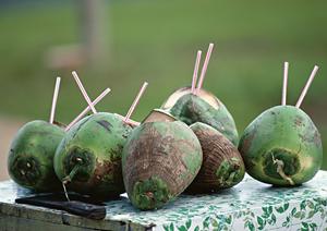 石垣島旅行を快適に！家族連れにおすすめのレンタカー活用法と観光スポットガイド