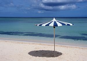 石垣島の魅力満載！自然体験から星空観察まで、アクティビティを徹底解説