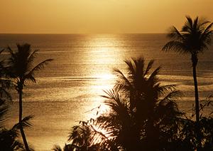 身も心も癒せる信州温泉に行こう