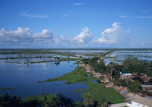 家族で楽しむ石垣島アクティビティ：思い出に残る体験が満載の完全ガイド
