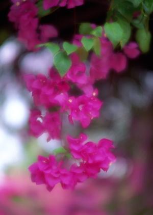 東横INN伊勢松阪駅前の魅力と特徴｜快適な宿泊体験を提供するビジネスホテル