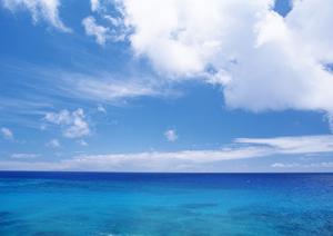 東横INN池袋北口1の魅力と特徴：アクセス便利なビジネスホテルの選び方