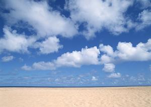 2025年最新！新宿の映画館完全ガイド：アクセス・上映情報・おすすめスポット