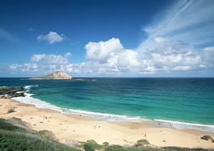 自然豊かなリゾートでくつろぐ「ホテルラフォーレ修善寺」の魅力