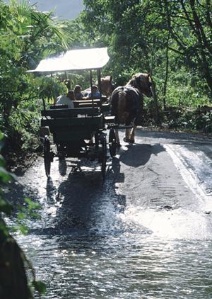 東横INN昭島駅南口｜東京都昭島市の便利なビジネスホテルと宿泊予約サイトの詳細情報