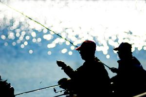 石垣島の魅力を教えてくれるショップ