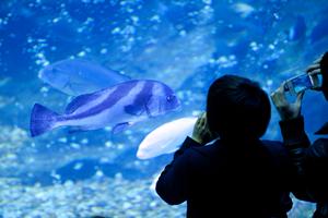 青森市の便利なビジネスホテル：東横INN新青森駅東口の魅力と詳細情報